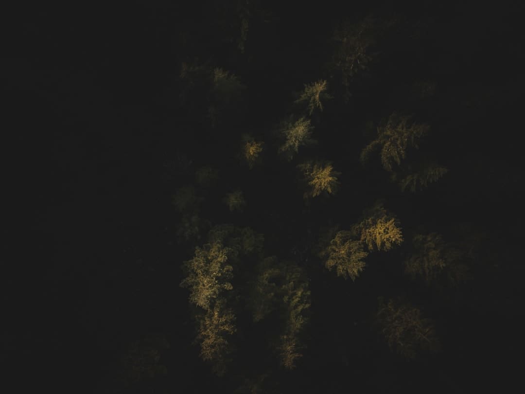 谁是孔门最可爱的弟子